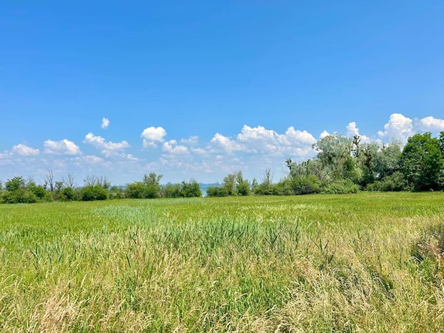 Seeparkvilla - Wohlfuehlen Am See Und Im Gruenen Bregenz Exterior foto